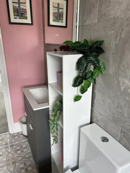 Three Storey Clifton Town House Bristol Extérieur photo